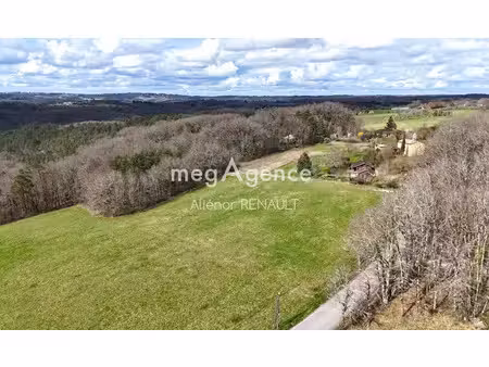 vente terrain à batir 8576 m² à plazac (24580)  65 000 €
