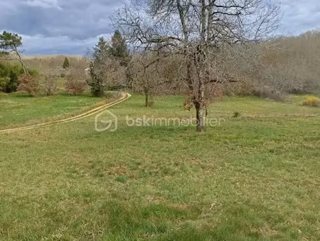 vente terrain 4689 m² à tourtoirac (24390)  51 890 €