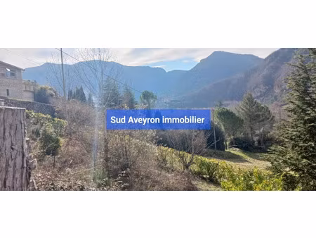 vente terrain 1019 m² à mostuéjouls (12720)  69 000 €