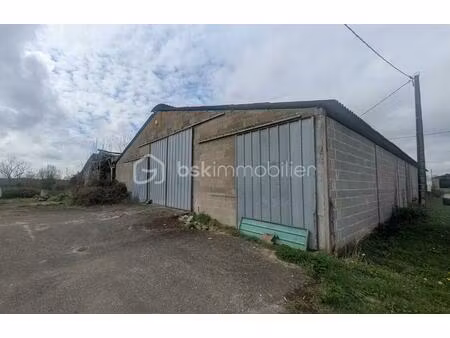 maison de 490 m² à le busseau