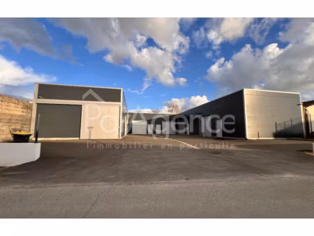 saint-palais-sur-mer  entrepôt à louer