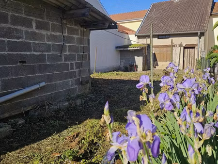 maison de village à sivry-sur-meuse (55110)