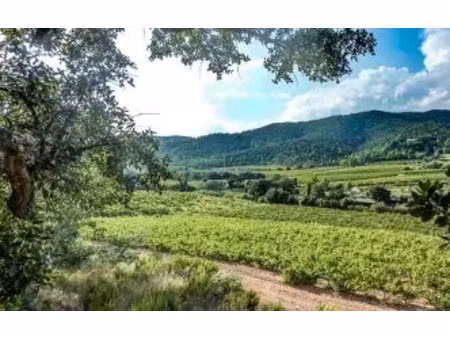 vente terrain 301 m² à hyeres (83400)  7 000 000 €