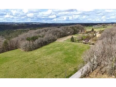 terrain à bâtir à plazac (24580) - 8576 m²