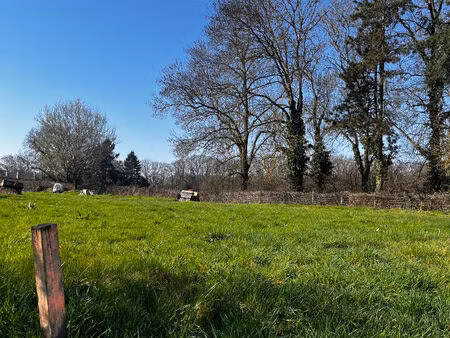 terrain constructible viabilisé à vendre de 858 m² à saint-rémy