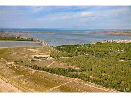 vente terrain 549 m² à la barre-de-monts (85550)  96 000 €