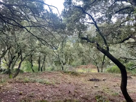 vente terrain 854 m² à sainte-anastasie-sur-issole (83136)  110 000 €