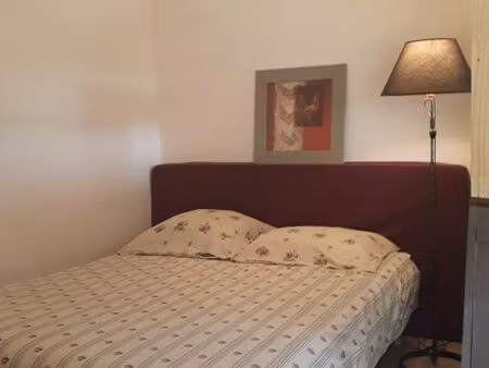 t1 entièrement rénové 30 m2 meublé plein sud