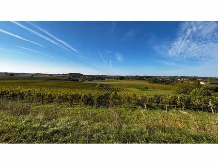 vente terrain 800 m² à camblanes-et-meynac (33360)  170 000 €
