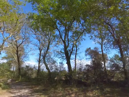 vente terrain 611 m² à seignosse (40510)  300 000 €