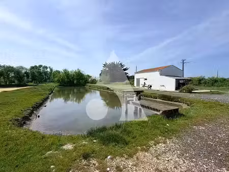vente locaux professionnels 0 pièces 41 m² à bourcefranc-le-chapus (17560)  117 000 €