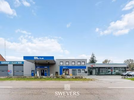 bien professionnel à vendre à houthalen (llvv7) - swevers vastgoed - beringen | zimmo