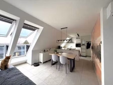 recent ben-appartement met parking in het centrum van zev...