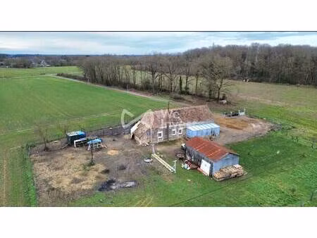 we invest solenne oswald