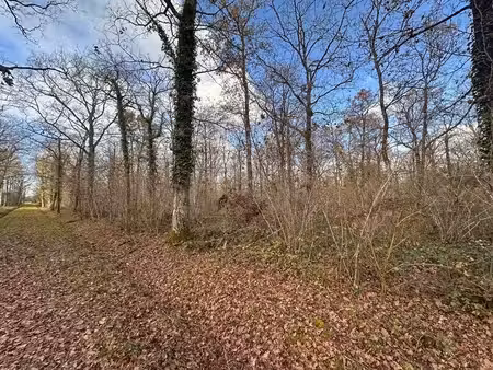 terrain à vendre