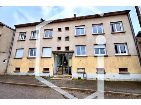 vente immeuble 16 pièces 305 m² à cosne-cours-sur-loire (58200)  289 000 €