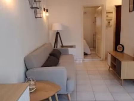 location meublée appartement 2 pièces 30 m² à vienne (38200)  620 €