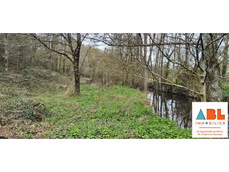 terrain de loisirs de 8 282 m² avec accès direct à la rivière - saint-denis-la-chevasse