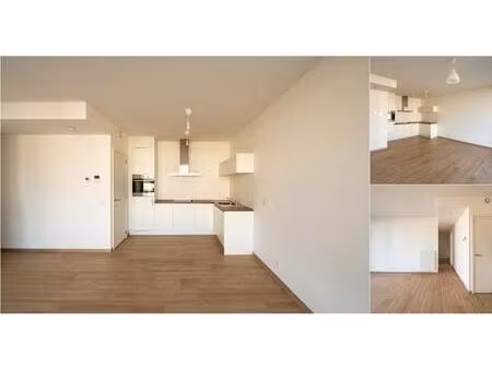 appartement à louer à zeelandstraat 69 hoboken (rbv43324)