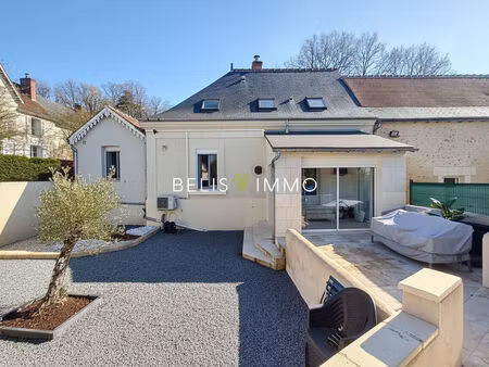 vente maison 8 pièces 185 m² savonnières (37510)