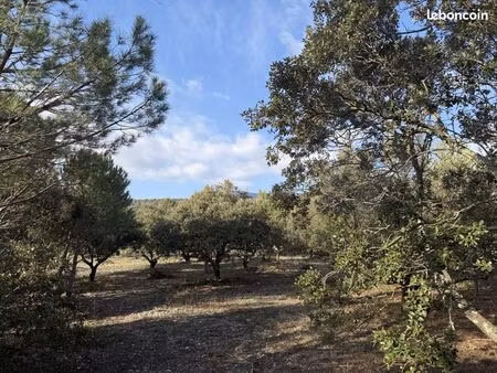 terrain 1300 m² cucuron