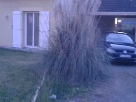 location maison 7 pièces 165 m² à denguin (64230)  1 440 €