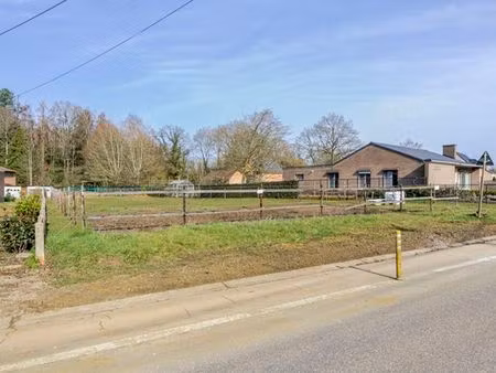 terrain à vendre à zolder € 220.000 (llw1g) - jaspers truus | zimmo