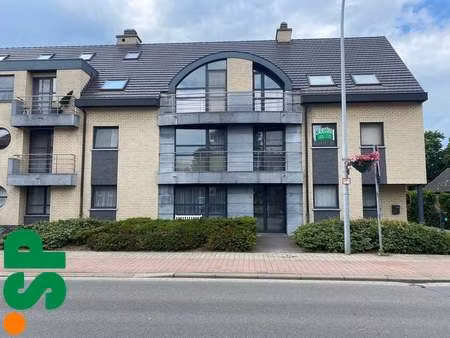 appartement à louer à olen € 620 (llw0p) - kantoor geel | zimmo