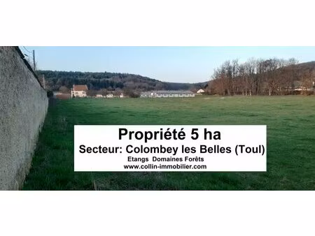 en vente terrain constructible 500 ares – 441 000 € |toul