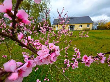 vente maison à baugé (49150) : à vendre / 140m² baugé