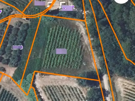 vente terrain 2120 m² sabran (30200)