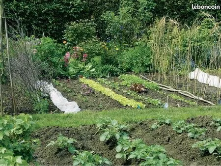 jardin potager 400m2