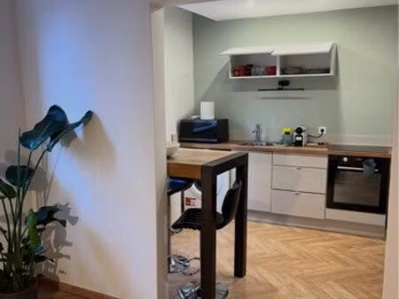 appartement haut de gamme cœur de ville