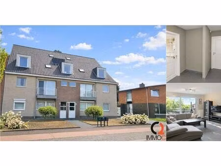 appartement à louer à hulsterweg 192 tessenderlo (rbv43421)