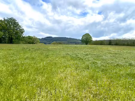 terrain constructible de 1324 m2 ( lot n° 2 )