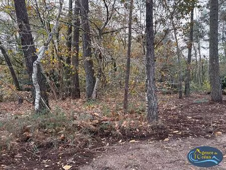 vente terrain à férel (56130) : à vendre / férel