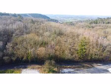 terrain