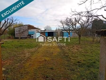 safti duverne tiphaine conseiller indépendant