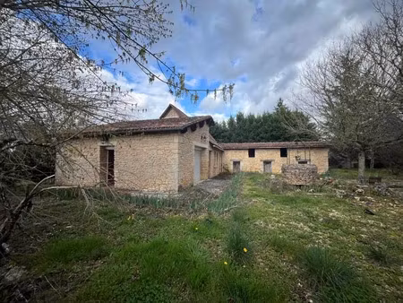 vente maison 2 pièces 95 m² à savignac-les-eglises (24420)  75 936 €