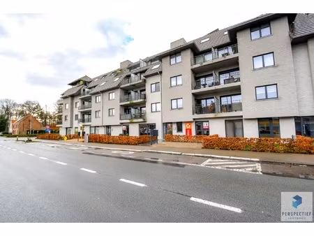 commercieel te huur in beernem