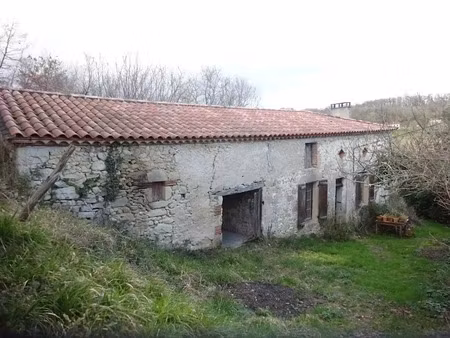 vente maison 3 pièces 70 m² à saint-sylvestre-sur-lot (47140)  109 000 €