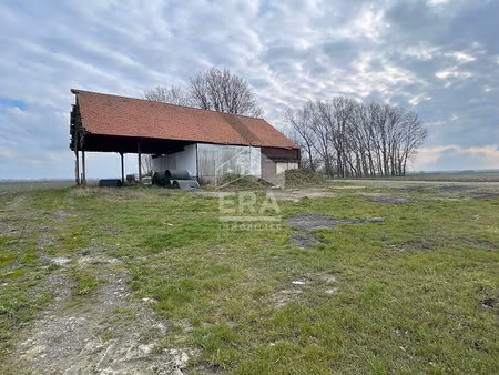 terrain 0 pièces 1976 m² à vendre / acheter téteghem-coudekerque-village 59229 ? | era imm