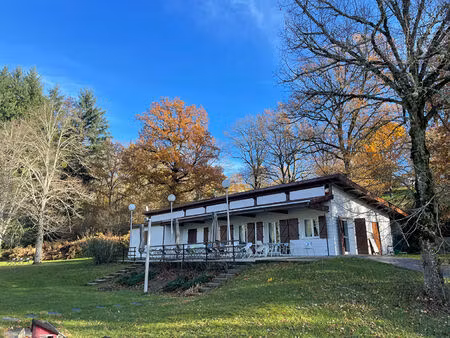 achat local commercial st remy sur durolle 63550