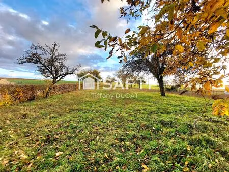 vente terrain 1563 m² maisons-lès-chaource (10210)