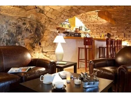 vente commerce 43 pièces 2500 m² vallon-pont-d’arc (07150)