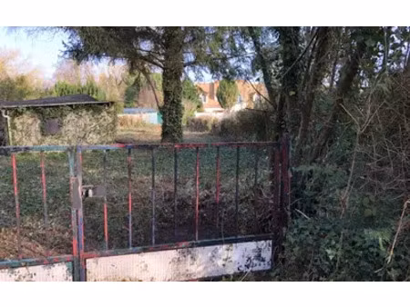 milly-la-forêt (91490)