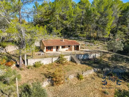 maison de campagne de plain pied ! calme  nature  grand terrain