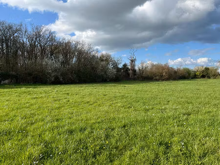 achat terrain 3 530m²