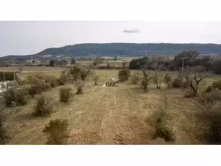 vente terrain 855 m² saint-mathieu-de-tréviers (34270)