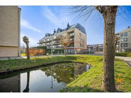 appartement te koop in zwijndrecht